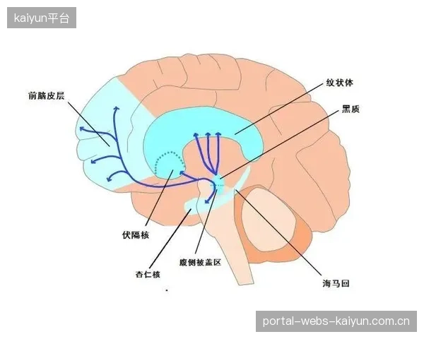 主教练需在点球手选择上进行博弈,综合考量球员的技术数据和在高压下的心理稳定性。 主教练需在点球手选择上进行博弈,综合考量球员的技术数据和在高压下的心理稳定性。